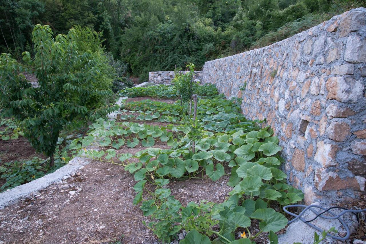 Village House Dunja Virpazar Extérieur photo