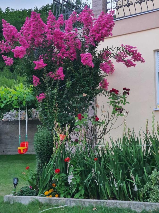 Village House Dunja Virpazar Extérieur photo